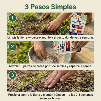 Milflores™ Colección de semillas de flores silvestres americanas raras (22 variedades)
